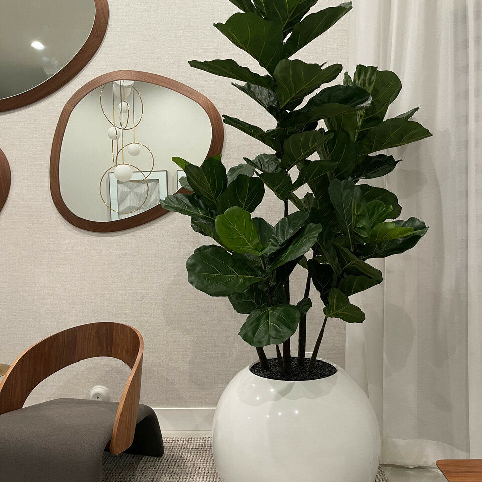 White Globe Vase 30" with Fiddle Tree