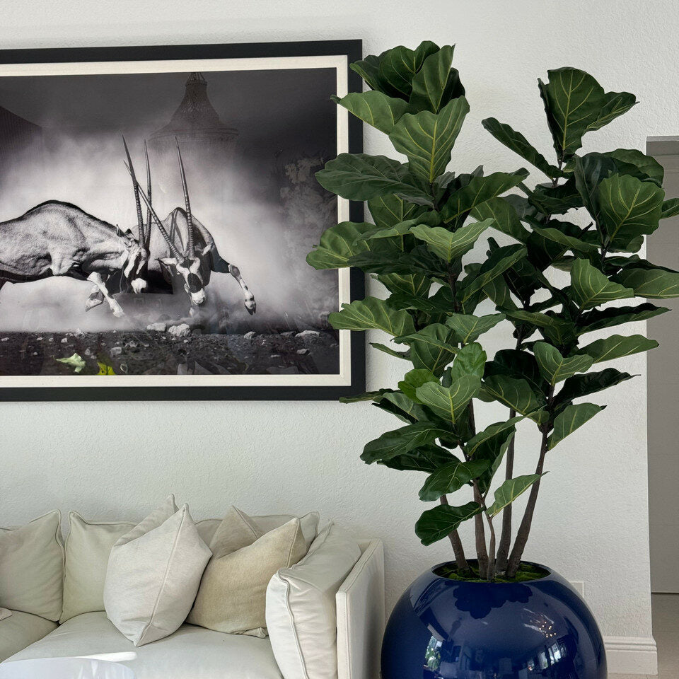 30″ Blue Globe Vase with Fiddle Leaf Fig