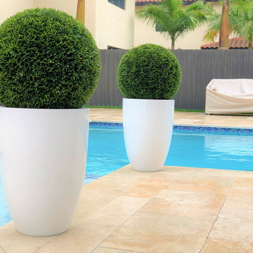 Ben L Fiberglass with 20" Topiary