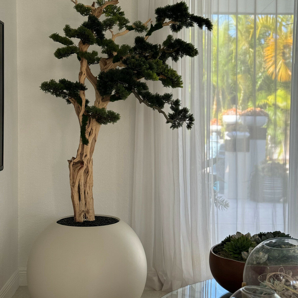 Bonsai Tree in Globe-Shaped Planter – 180 cm, Satin Beige
