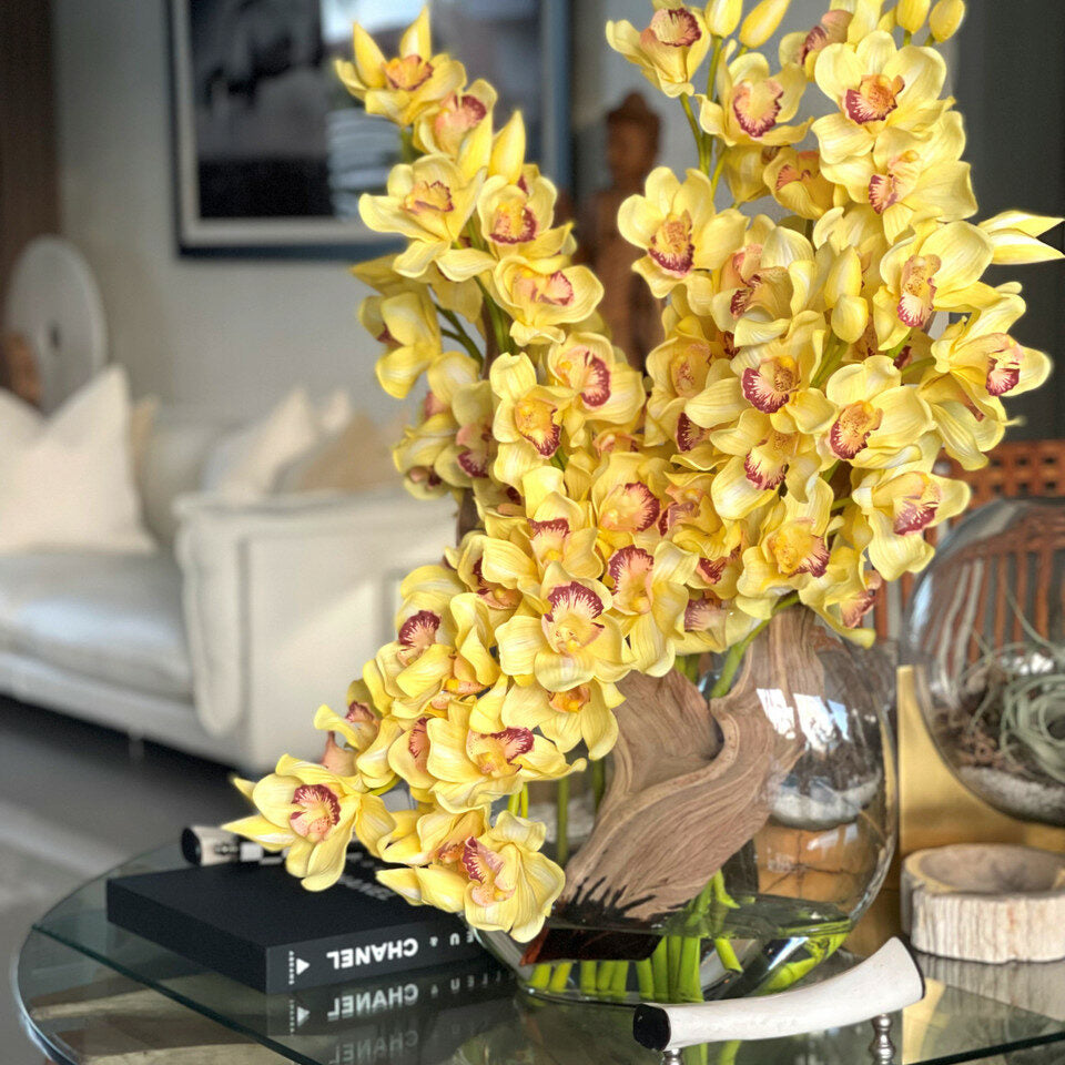 Yellow Cymbidiums in Lunar Pot